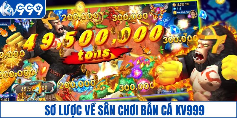 Các ưu đãi nổi bật trong Ngày Hội Viên KV999